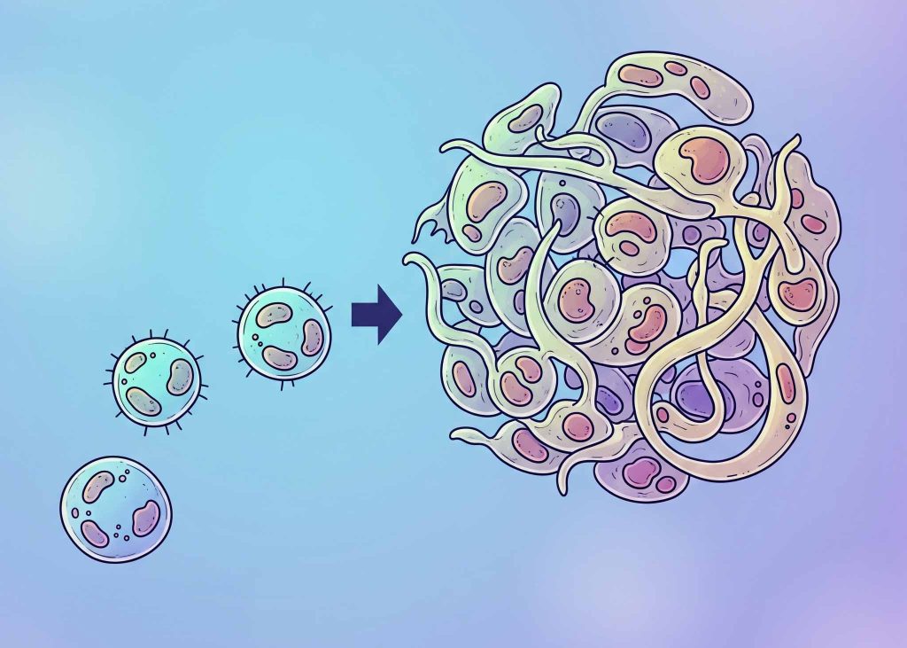 An illustration showing single cells coming together to form a larger, more organized structure.